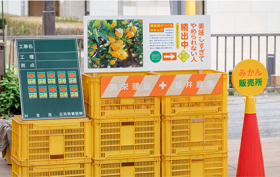 建設みかん